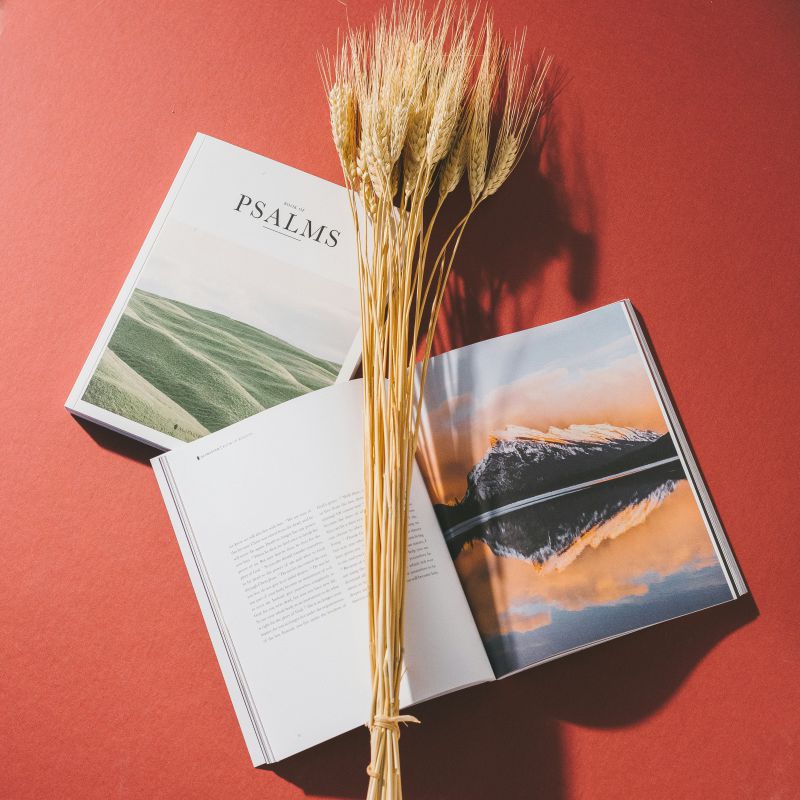 Katalog Tasarm Kategori Fotoraf