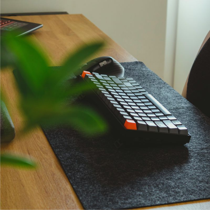 Mouse Pad Kategori Fotoraf